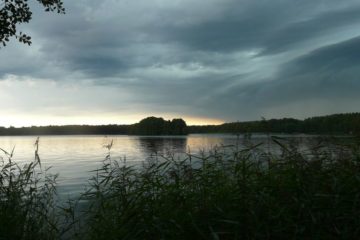 Seepark Lychen (10)