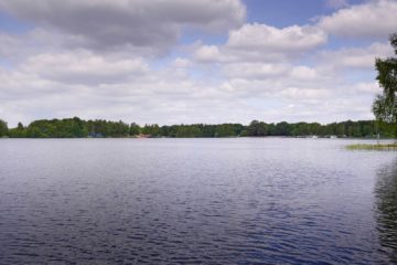 vissen beeksebergen