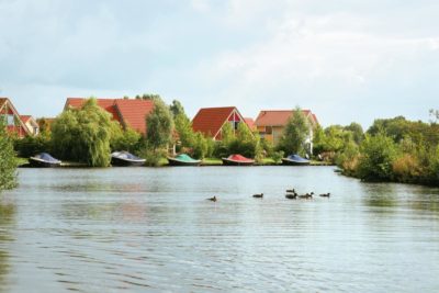 Vissen op het Schildmeer