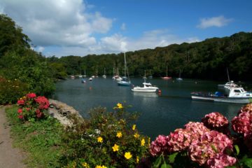 Crosshaven Visvakantiegids (4)
