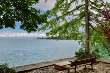 Duck House Visvakantiegids (14)