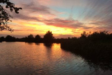 Natuurhuisje Reeuwijk Visvakantiegids (17)