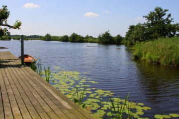 Natuurhuisje Reeuwijk Visvakantiegids (8)