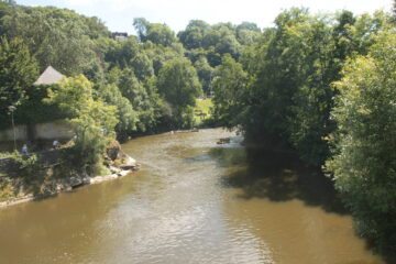 Vissen op de Ourthe