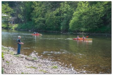 vissen op de ourthe