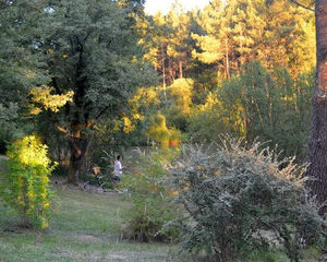 Camping L'Etang De Bazange Visvakantiegids (10)