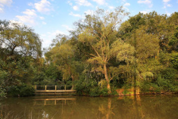 Camping L'Etang De Bazange Visvakantiegids (16)
