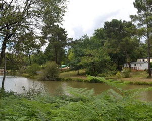 Camping L'Etang De Bazange Visvakantiegids (33)