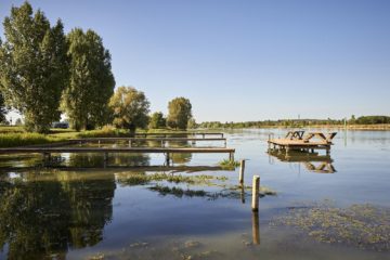 De Saône Camping Aux Rives Du Soleil Visvakantiegids (16)