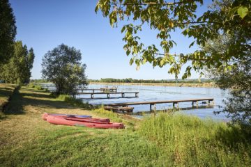 vissen op de Saône