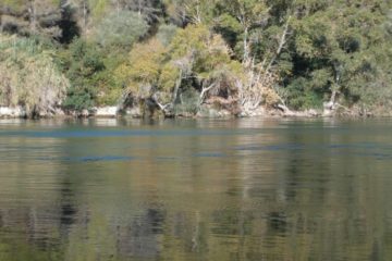 Ebro Vakantiehuisje Visvakantiegids (15)