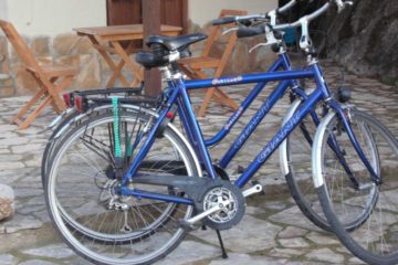 Ebro Vakantiehuisje Visvakantiegids (2)