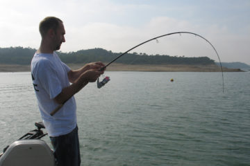 vissen op de Ebro