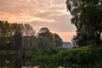 vissen op de Regge