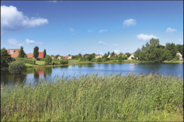 karpervissen op het Akerveen