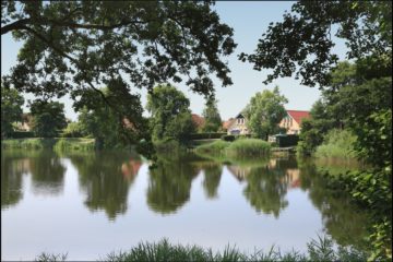 karpervissen op het Akerveen