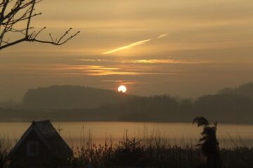 vissen op de Sternberger See