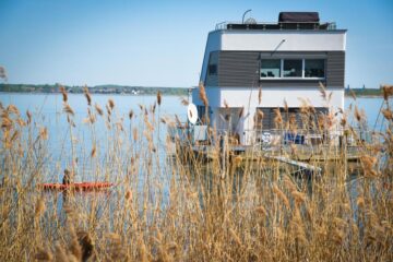 vissen op de De Grote Goitzschesee