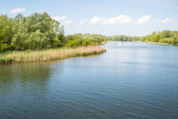 vissen op de kraaijenbergse plassen Europarcs