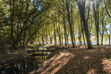 vissen op Europarcs Citycamping Het Amsterdamse Bos