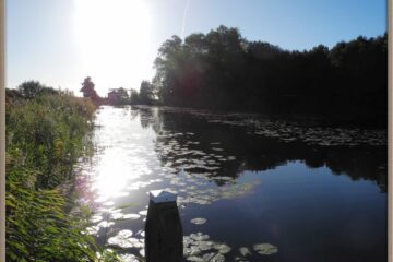 Waterfront Floating Vissers Lodges Visvakantiegids (12)
