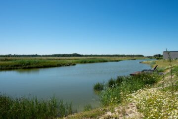 vissen op Z'ANDvillas De Groote Duynen