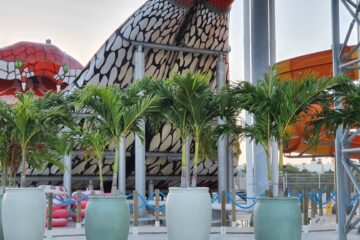 Corendon Mangrove Beach Resort (9)