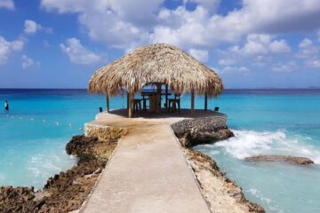 vissen op Delfins Beach Resort Bonaire