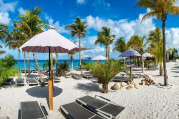 vissen op Delfins Beach Resort Bonaire