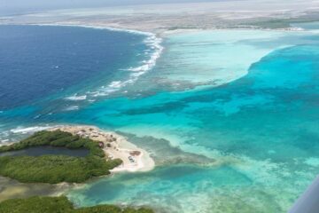 vissen op bonefish Sorobon Beach & Wellness Resort